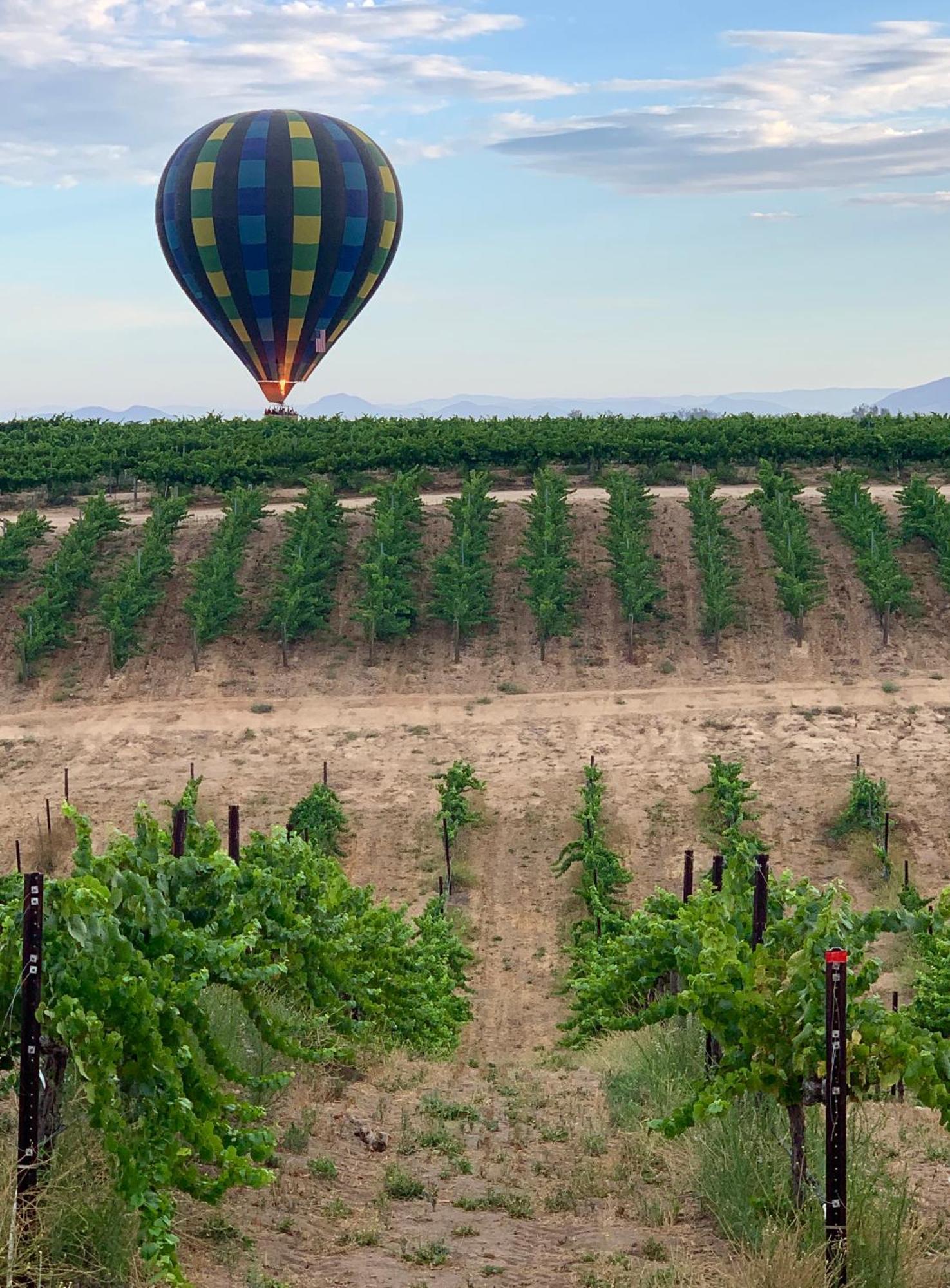 Bed and Breakfast Domaine Chardonnay Temecula Exteriér fotografie