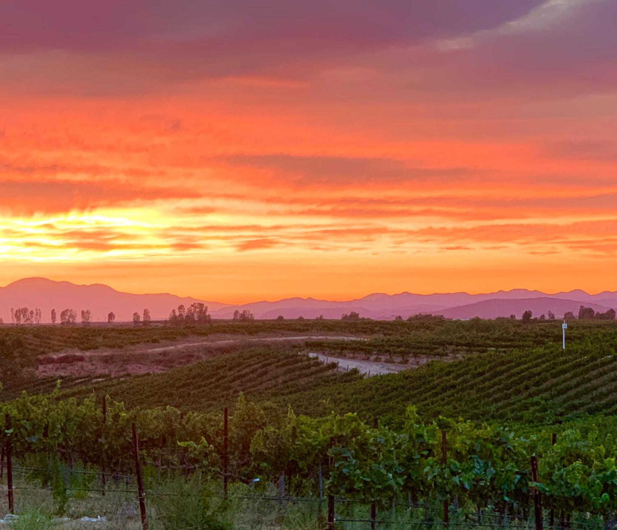 Bed and Breakfast Domaine Chardonnay Temecula Exteriér fotografie