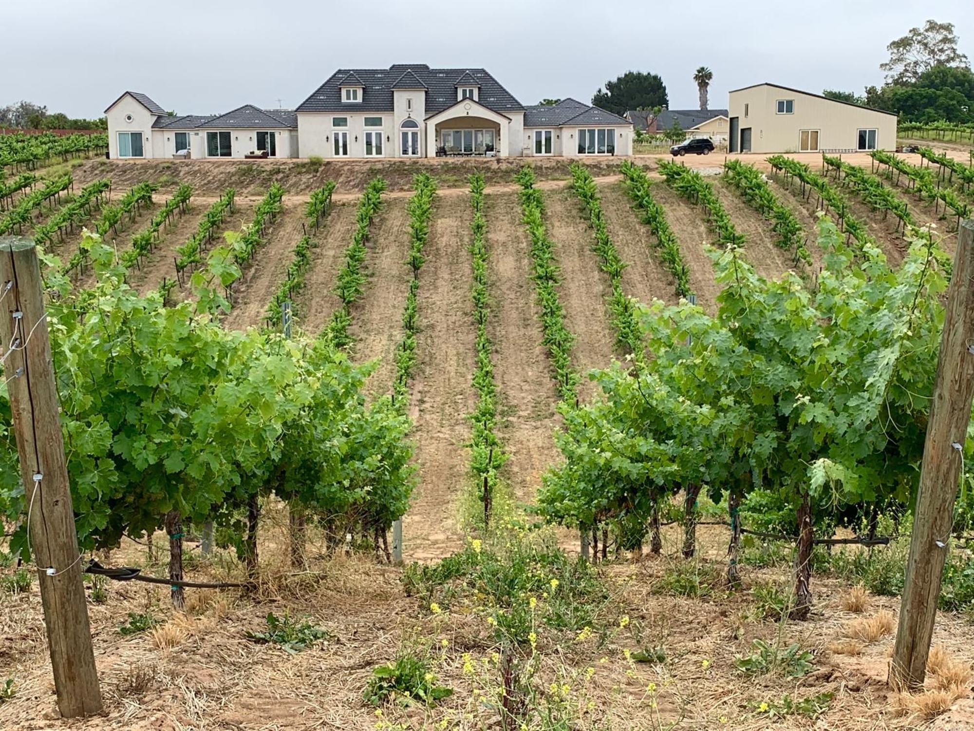 Bed and Breakfast Domaine Chardonnay Temecula Exteriér fotografie